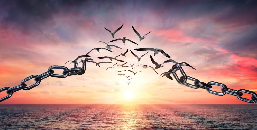 Forgiveness Wins